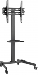 Mobile TV Mount - Stand with Shelf