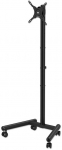MANHATTAN Kompakter TV- Monitorst&auml;nder a. Rollen 13"-50"