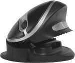 Bakkerelkhuizen Oyster Wireless Mouse Black Silver