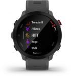 Garmin Forerunner 55 GPS, monterra grey