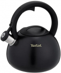 Non-Electric Kettle TEFAL N4180410, Matte Black