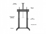 M MOTORIZED PUBLIC FLOORSTAND DUAL PILLAR 180 HD