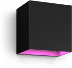 Philips Hue WCA Resonate Outdoor Downward Wall Lantern, Black | 8 W | 2000-6500 Hue White Colour Ambiance