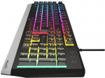 NATEC GENESIS Gaming keyboard Rhod 300