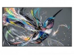 Philips LCD-Display 75BDL3511Q - 190 cm (75") - 3840 x 2160 4K UHD