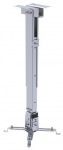PRO02, 20 kg, Silver