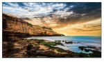 SAMSUNG 65" QE65T UHD 300NITS 16/7