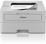 Brother HL-L2865DW printer B/W laser