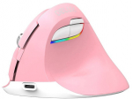 Wireless Vertical Mouse Delux M618Mini DB BT+2.4G 2400DPI (pink)