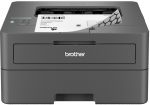 Brother HL-L2442DW laser printer (HLL2442DWYJ1)