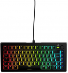 Glorious GMMK 3 Pro HE 75% Gaming Keyboard, Fox HE Switches - ISO-ND, Black