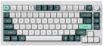 Keychron Q1 HE Wireless RGB Nebula Magnetic Switch Keyboard (White) [Q1H-P1]