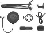 Genesis Radium 300 studio XLR microphone with arm