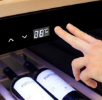Caso | Smart Wine Cooler | WineExclusive 66 | Energy efficiency class G | Free standing | Bottles capacity bottles | Coo