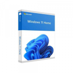 Microsoft Windows 11 Home FPP USB Flash Drive