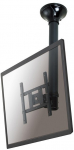 Neomounts FPMA-C200BLACK Deckenhalterung f&uuml;r Flachbildschirme/Fernseher bis 40" (102 cm).
