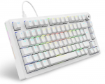 Sharkoon SKILLER SGK25 gaming keyboard white DE