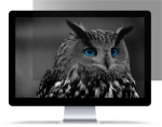 NATEC Owl Frameless display privacy filter 54.6 cm (21.5")