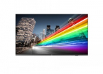 Philips 65" Professional TV