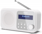 Sharp DR-P420 Portable Digital White
