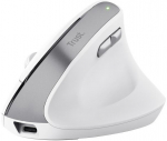Trust Mouse BAYO II ergonomic wireless white