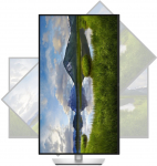 Dell P3225QE | 32 " | IPS | 4K UHD | 16:9 | 100 Hz | 5 ms | 3840 x 2160 pixels | 350 cd/m&sup2; | HDMI ports quantity 1 | War