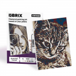 QBRIX A4 Vintage isikup&auml;rastatud teemantmaal mosaiik kunst