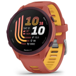 Garmin Forerunner 170 Music 3.05 cm (1.2") AMOLED 42 mm Digital 390 x 390 pixels Touchscreen Pink GPS (satellite)
