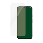 Kaitseklaas Google Pixel 9 Pro XL, PanzerGlass
