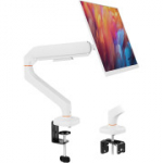 Ibergrif MA001W &uuml;he monitori varras 13&ndash;32", gaasvedru, VESA 75/100 mm, valge