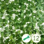 Kunstlik luuderohup&auml;rja Diompirux, 12 tk, 2,2 m