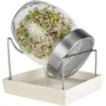 GEO Geojar klaasist idanaator TZZ0865