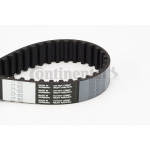 Hammasrihm CONTITECH CT1100