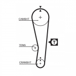 Hammasrihm GATES 5122