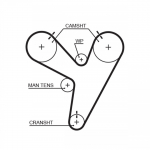 Hammasrihm GATES T279
