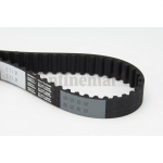 Hammasrihm CONTITECH CT1121