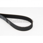 Hammasrihm CONTITECH CT726