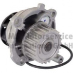 Veepump PIERBURG 7.07152.40.0