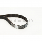 Hammasrihm CONTITECH CT740