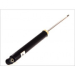 Amortisaator Magnum Technology AGP113MT
