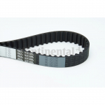 Hammasrihm CONTITECH CT1137