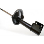 Amortisaator DENCKERMANN DSB100G