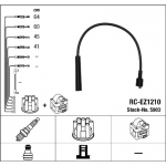 S&uuml;&uuml;tes&uuml;steemikomplekt NGK 5903