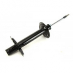 Amortisaator Magnum Technology AGP118MT