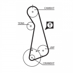 Hammasrihm GATES 5424XS