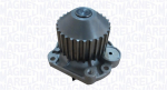 Veepump MAGNETI MARELLI 352316170928