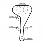 Hammasrihm GATES 5550XS