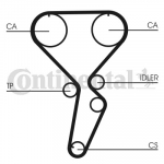 Hammasrihm CONTITECH CT1116