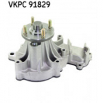 Veepump SKF VKPC 91829