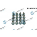 Tihendikomplekt, klapis&auml;&auml;r Dr.Motor Automotive DRM01202S